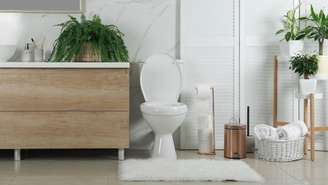 Descubra quais as melhores plantas para banheiro.