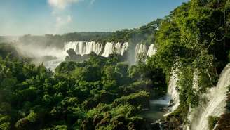 Estudo global de biodiversidade revela que o século XXI vive o maior ritmo de descobertas de espécies da história; saiba mais