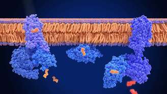 A rodopsina é um pigmento visual, isto é, uma molécula capaz de reagir à luz. Ela constitui-se principalmente por uma proteína chamada opsina ligada a uma forma de vitamina A conhecida como retinal – depositphotos.com / animaxx3d