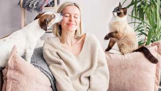 Entenda a organização necessária antes de adotar um pet