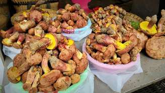 O hospital atende centenas desses casos todos os anos. Todos têm um mesmo responsável: Lanmaoa asiatica, um tipo de cogumelo que forma relações simbióticas com pinheiros nas florestas da região e é um alimento popular naquela região