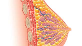 seio -depositphotos.com / andegraund548