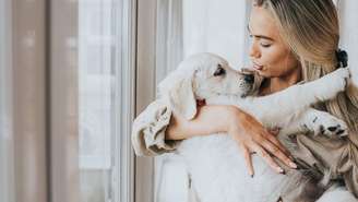 Onde você pode estar exagerando e o que pode estar faltando para o bem-estar do seu cão?