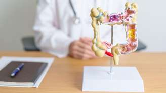 Entenda como o intestino afeta a saúde mental