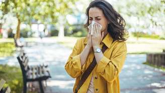 Veja plantas que ajudam nos sintomas da rinite. Foto: Shutterstock