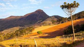 Aiuruoca – depositphotos.com / taciophilip