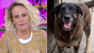 Ana Maria Braga se revolta com caso de adolescentes que mataram cachorro
