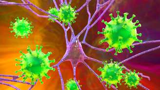 Vírus Nipah – depositphotos.com / katerynakon