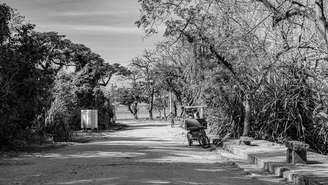 Ilha de Paquetá – depositphotos.com / RenatoPMeireles
