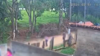 Bebê de 10 meses morre após ataque de cachorro