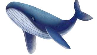 Em vez de “gritos”, ela usa sons graves quase inaudíveis para nós – depositphotos.com / IrishaArt