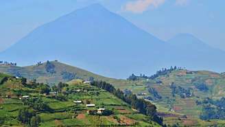 Enquanto a Europa vivia a expansão industrial, o Congo foi convertido em fonte de borracha, marfim e outros recursos, obtidos sob coerção direta de populações locais – depositphotos.com / Photocech