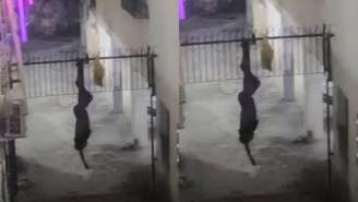 Suspeito foi resgatado por bombeiros militares 