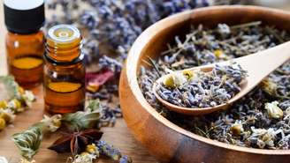 Ervas medicinais podem ser aliadas no equilíbrio hormonal, ajudando em sintomas como TPM, menopausa e estresse; veja quais