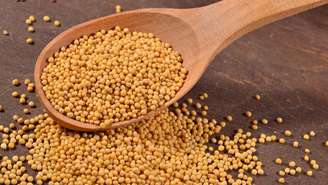 mostarda – depositphotos.com / AntonMatyukha