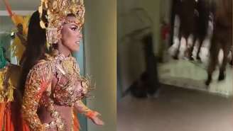 Confusão antes do desfile da Acadêmicos de Niterói