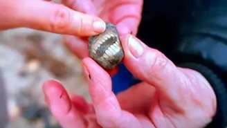 Pedra "sorridente" é encontrada no Reino Unido