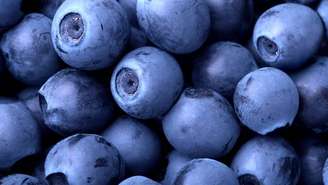 Além das antocianinas, o mirtilo contém vitamina C, vitamina K, fibras e outros fitoquímicos, como flavonoides e ácidos fenólicos – depositphotos.com / mikdam