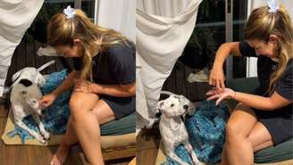 Vídeo que mostra Oreo reagindo a gestos para passear ultrapassa 8 milhões de visualizações no TikTok 