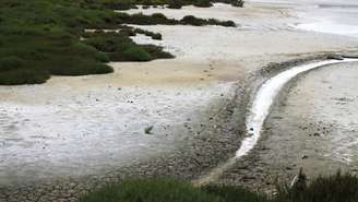 Salinização avança em Camargue, no sul da França, e afeta as poucas culturas que resistiam às condições adversas para a agricultura.