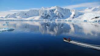 Apesar do nome assustador, seu cardápio é variado: de grandes insetos a pequenos vertebrados, e algumas tribos indígenas a consomem como fonte de proteína – depositphotos.com / timwege