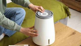 O umidificador de ar é um aparelho que libera vapor de água no ambiente, elevando a umidade relativa do ar – depositphotos.com / serezniy