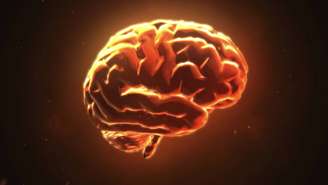 A morte encefálica é diagnosticada por um protocolo rigoroso que confirma a perda irreversível das funções do cérebro – depositphotos.com / FlashMovie