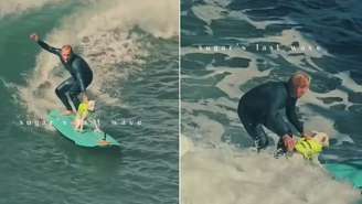 Cadela Sugar, que está no Hall da Fama do Surfe, pega a 'última onda' ao enfrentar câncer