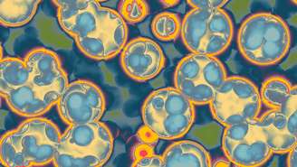 Superbactéria KPC costuma responder a poucos remédios