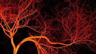 A perniose é uma vasculopatia de frio, ou seja, uma alteração dos vasos sanguíneos provocada pelo frio – depositphotos.com / Inokos