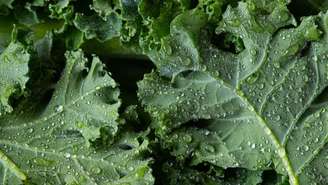 Veja quais alimentos tem efeito semelhante ao ozempic