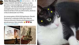 Carminha, gata do filme 'O Agente Secreto', roubando a cena e o coração do elenc