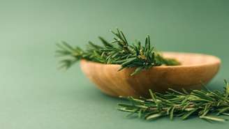 Veja quais ervas usar para atrair amor