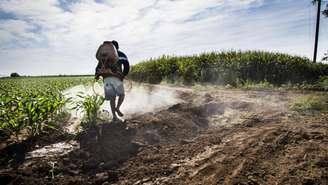 Um pequeno agricultor mexicano pulveriza herbicida em seu campo de milho nos arredores da cidade de Walamo, no estado de Sinaloa (imagem ilustrativa).