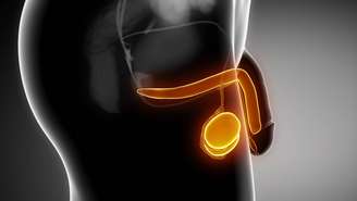 pênis – depositphotos.com / spukkato