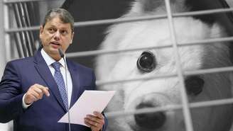 Veto do governador de SP a PL gera indignação entre protetores da causa animal