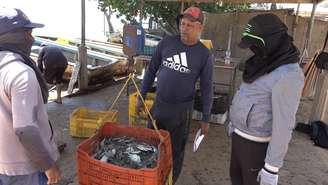 Para 2022, o valor das exportações de siri-azul da Venezuela somou cerca de R$ 378 milhões, segundo a FAO