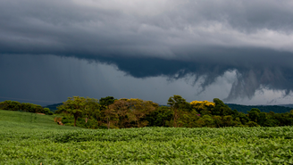 Especialistas explicam que o fenômeno faz parte da história paranaense há séculos; o que mudou foi a capacidade tecnológica de registro