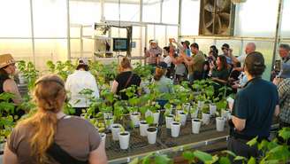 Por décadas, o agronegócio brasileiro foi interpretado sob lentes externas, muitas vezes distorcidas por diferenças climáticas, regulatórias e culturais