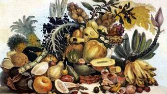 Frutas do Brasil, desenho de Thierry Frères a partir de obra de Jean-Baptiste Debret, em 1839.