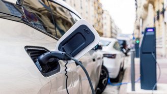  Cientistas chineses descobrem uso sustentável para a pitaya