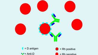 Anti-D – depositphotos.com / LeoRed2KD