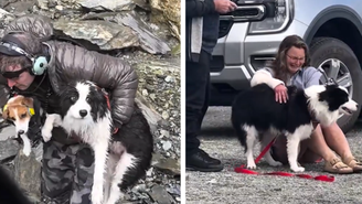 Molly foi resgatada com a ajuda de um helicóptero e outro cãozinho