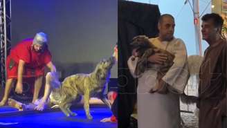 Cão invade encenação da Paixão de Cristo no RS, reage à cena da crucificação e viraliza; episódio mistura humor, emoção e empatia