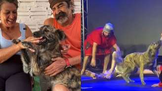 Os tutores identificaram a cachorra ao assistir ao vídeo viral em que ela aparece defendendo Jesus durante uma sessão da Paixão de Cristo