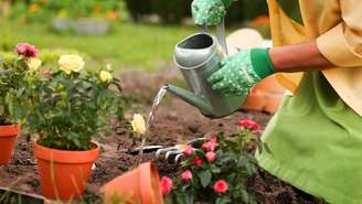 O bicarbonato de sódio, se utilizado corretamente, protege as plantas contra pragas, além de melhorar o aroma e preservar o solo