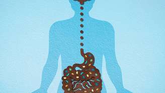 Há um vasto conjunto de neurônios que se distribuem ao longo do tubo digestivo e um ecossistema de microrganismos que conversam o tempo todo com o sistema nervoso central – depositphotos.com / ArtemisDiana