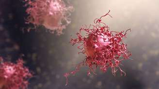 O termo neoplasia descreve um crescimento anormal de células em alguma parte do corpo – depositphotos.com / katerynakon