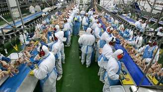 Desempenho global das exportações brasileiras de frango permaneceu positivo mesmo com a retração regional