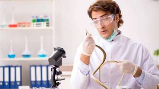 cobra veneno_depositphotos.com / Elnur_